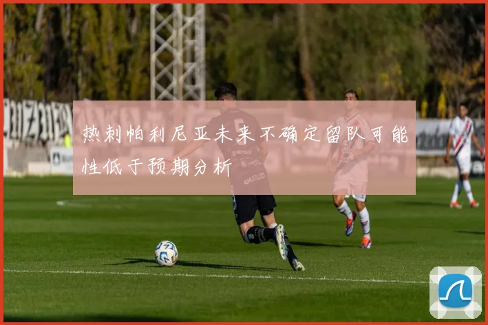 热刺帕利尼亚未来不确定留队可能性低于预期分析