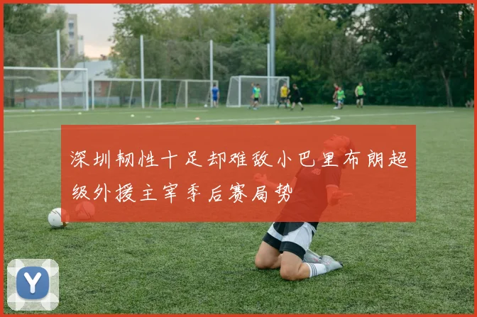 深圳韧性十足却难敌小巴里布朗超级外援主宰季后赛局势